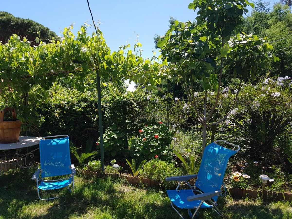 Villa Provencale A Sainte Maxime, Golf De Saint Tropez Exterior photo